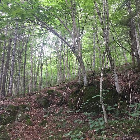 Chalet Nature Laurentides Val-des-Lacs Εξωτερικό φωτογραφία