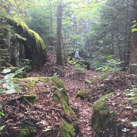 Chalet Nature Laurentides Val-des-Lacs Εξωτερικό φωτογραφία