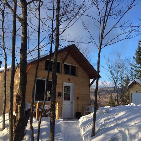 Chalet Nature Laurentides Val-des-Lacs Εξωτερικό φωτογραφία