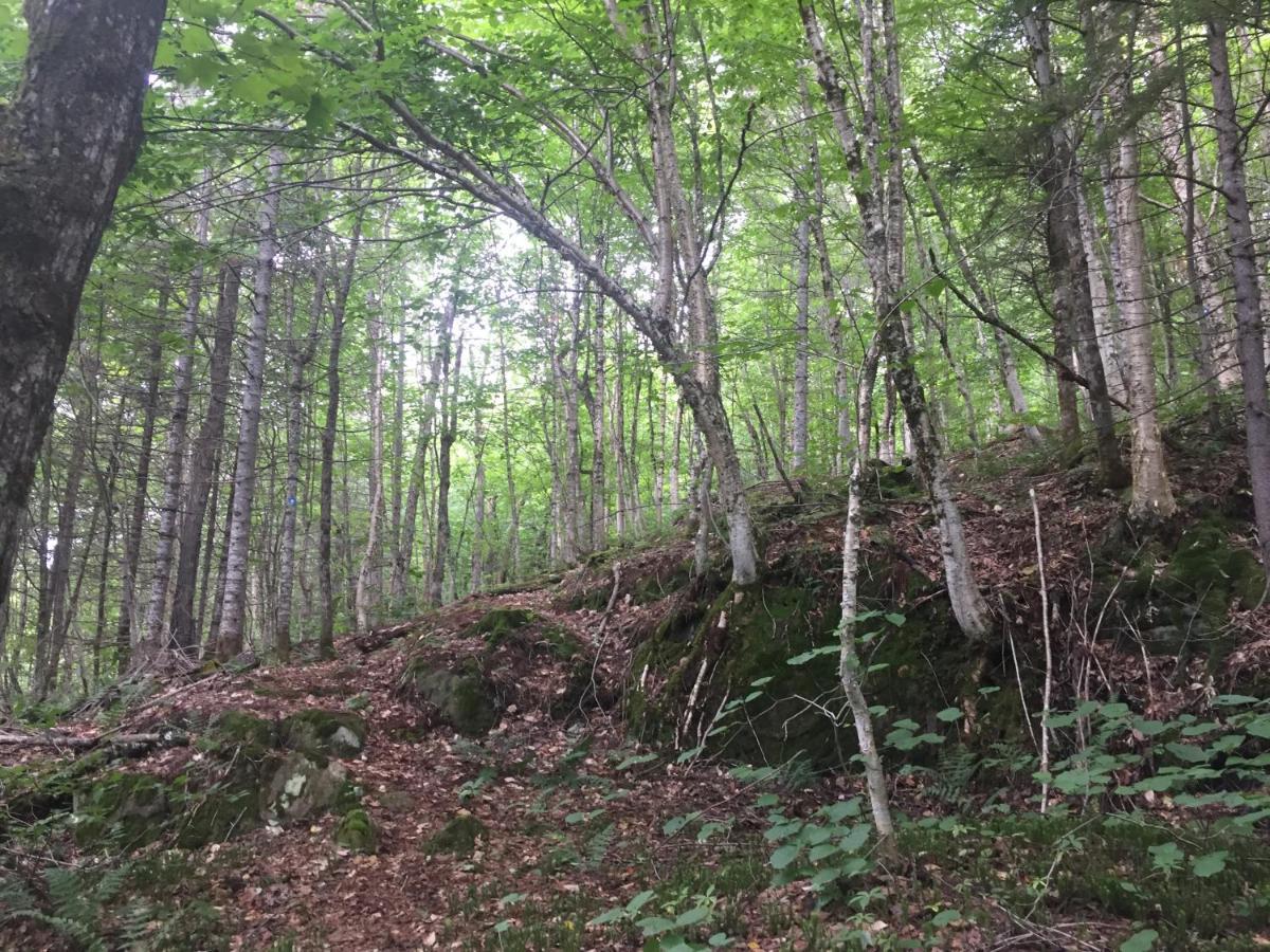 Chalet Nature Laurentides Val-des-Lacs Εξωτερικό φωτογραφία