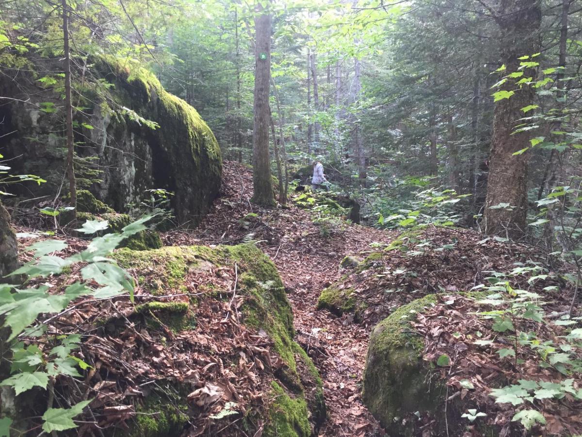 Chalet Nature Laurentides Val-des-Lacs Εξωτερικό φωτογραφία