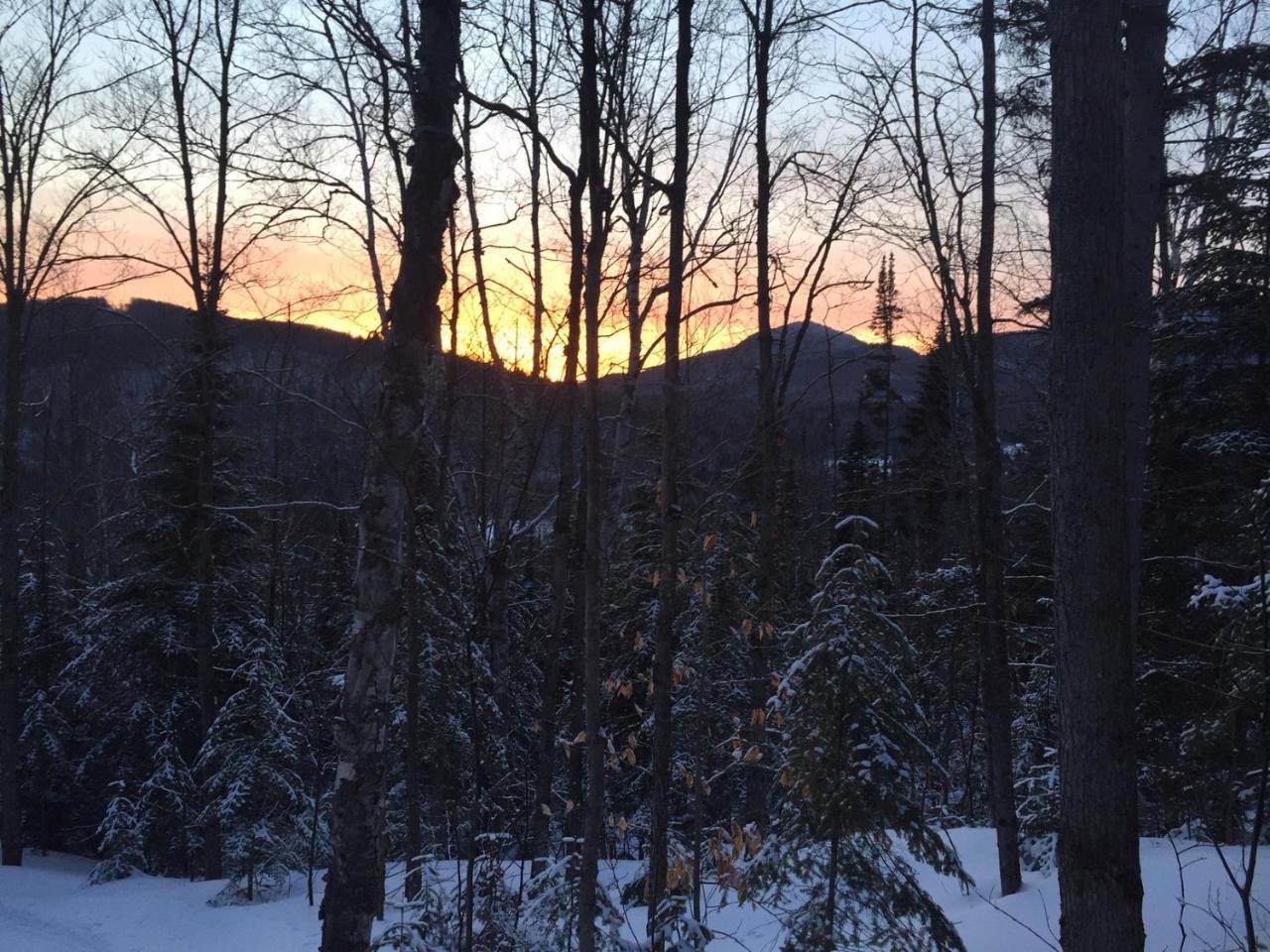 Chalet Nature Laurentides Val-des-Lacs Εξωτερικό φωτογραφία