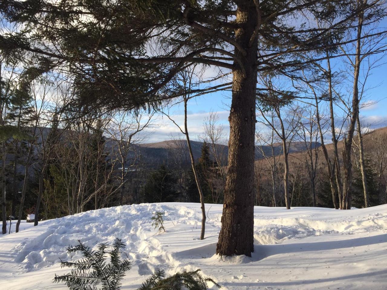 Chalet Nature Laurentides Val-des-Lacs Εξωτερικό φωτογραφία